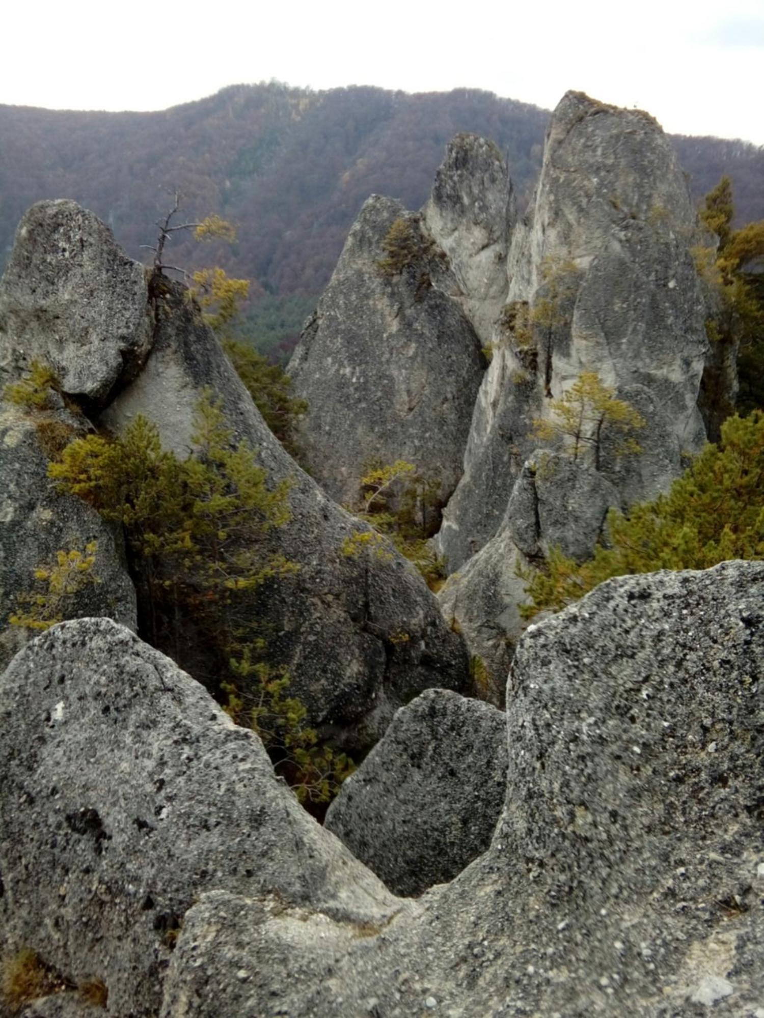 Castle Kastiel Kotesova公寓 外观 照片